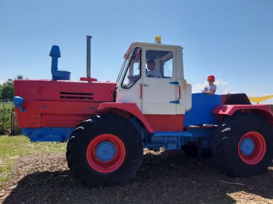 Grafika #12: 11.06.2021 Wycieczka do Farmy Alexa cz.III