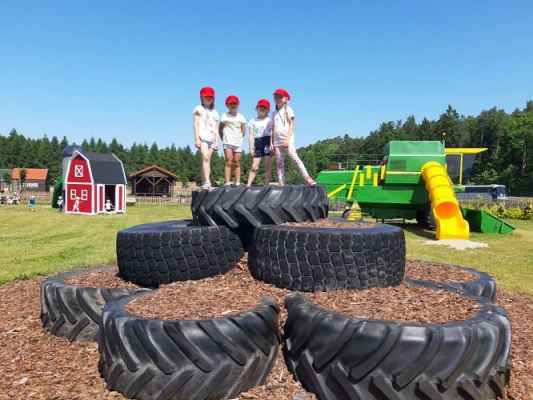 Grafika #14: 11.06.2021 Wycieczka do Farmy Alexa cz.III