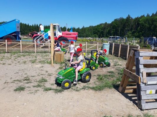 Grafika #21: 11.06.2021 Wycieczka do Farmy Alexa cz.III