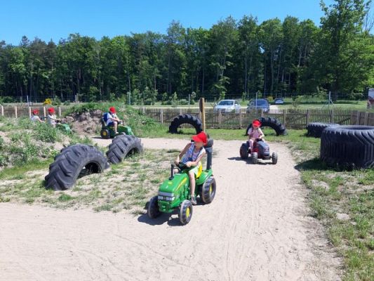 Grafika #22: 11.06.2021 Wycieczka do Farmy Alexa cz.III