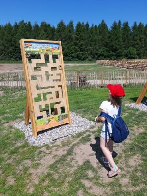 Grafika #43: 11.06.2021 Wycieczka do Farmy Alexa cz.III