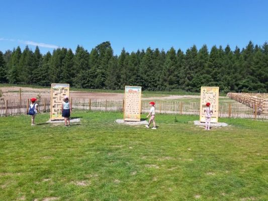 Grafika #49: 11.06.2021 Wycieczka do Farmy Alexa cz.III