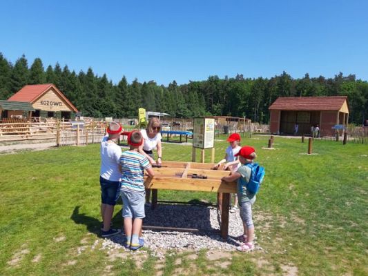 Grafika #50: 11.06.2021 Wycieczka do Farmy Alexa cz.III