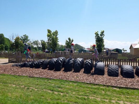 Grafika #57: 11.06.2021 Wycieczka do Farmy Alexa cz.III