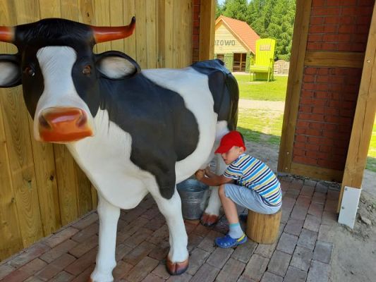 Grafika #59: 11.06.2021 Wycieczka do Farmy Alexa cz.III