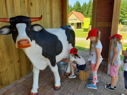 Grafika #60: 11.06.2021 Wycieczka do Farmy Alexa cz.III