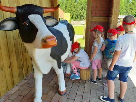 Grafika #61: 11.06.2021 Wycieczka do Farmy Alexa cz.III