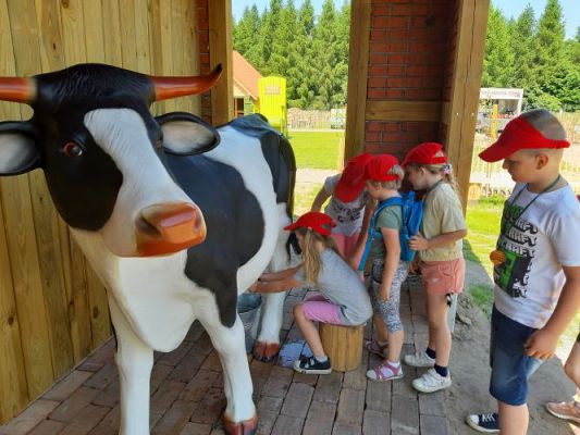 Grafika #62: 11.06.2021 Wycieczka do Farmy Alexa cz.III
