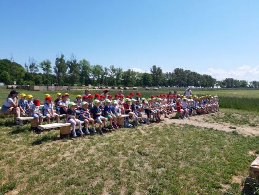 Grafika #71: 11.06.2021 Wycieczka do Farmy Alexa cz.III