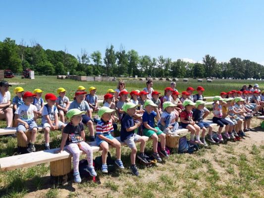 Grafika #73: 11.06.2021 Wycieczka do Farmy Alexa cz.III