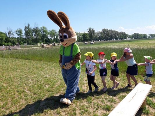 Grafika #83: 11.06.2021 Wycieczka do Farmy Alexa cz.III