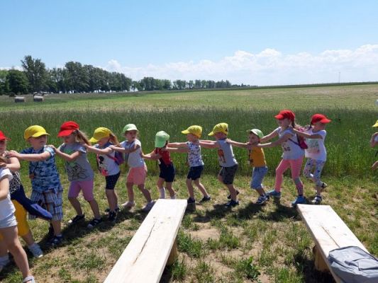 Grafika #86: 11.06.2021 Wycieczka do Farmy Alexa cz.III