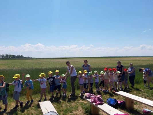 Grafika #90: 11.06.2021 Wycieczka do Farmy Alexa cz.III