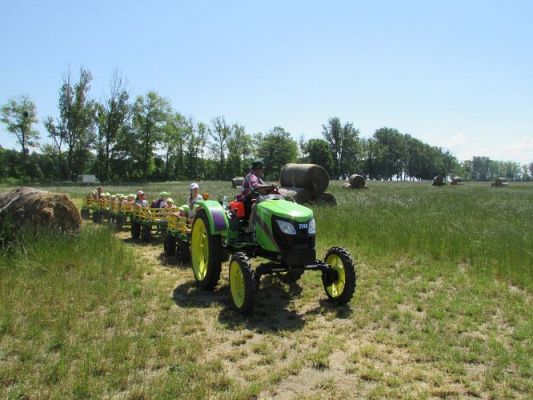 Grafika #50: 11.06.2021 Wycieczka do Farmy Alexa cz.II