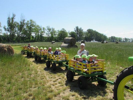 Grafika #51: 11.06.2021 Wycieczka do Farmy Alexa cz.II