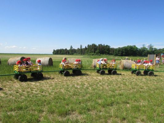 Grafika #59: 11.06.2021 Wycieczka do Farmy Alexa cz.II