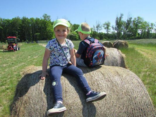 Grafika #63: 11.06.2021 Wycieczka do Farmy Alexa cz.II