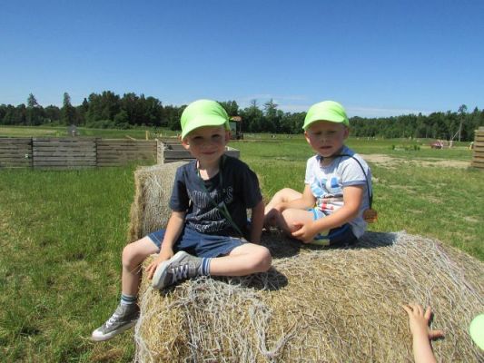 Grafika #64: 11.06.2021 Wycieczka do Farmy Alexa cz.II