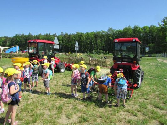 Grafika #65: 11.06.2021 Wycieczka do Farmy Alexa cz.II