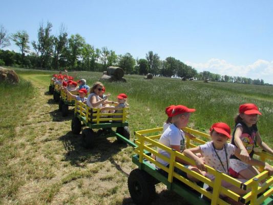 Grafika #66: 11.06.2021 Wycieczka do Farmy Alexa cz.II