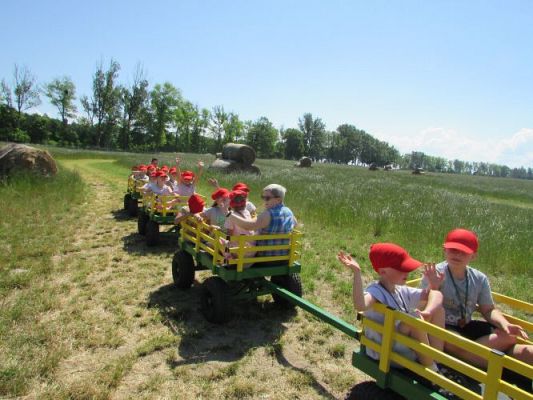 Grafika #67: 11.06.2021 Wycieczka do Farmy Alexa cz.II