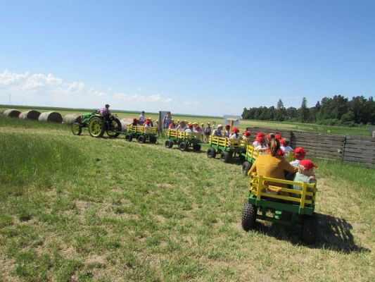 Grafika #69: 11.06.2021 Wycieczka do Farmy Alexa cz.II