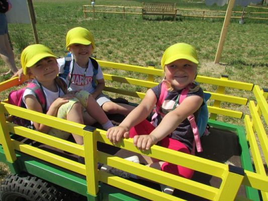 Grafika #70: 11.06.2021 Wycieczka do Farmy Alexa cz.II