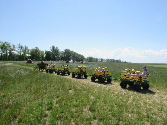 Grafika #75: 11.06.2021 Wycieczka do Farmy Alexa cz.II