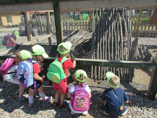 Grafika #76: 11.06.2021 Wycieczka do Farmy Alexa cz.II