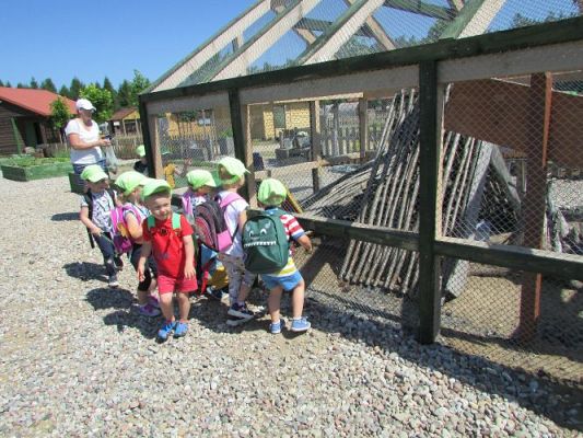 Grafika #77: 11.06.2021 Wycieczka do Farmy Alexa cz.II