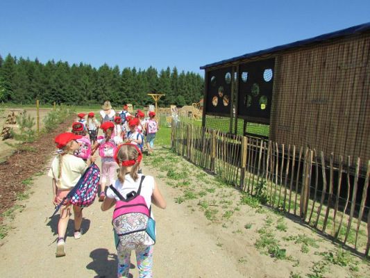 Grafika #82: 11.06.2021 Wycieczka do Farmy Alexa cz.II