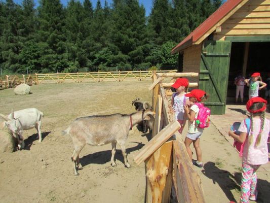 Grafika #84: 11.06.2021 Wycieczka do Farmy Alexa cz.II