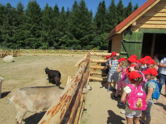 Grafika #85: 11.06.2021 Wycieczka do Farmy Alexa cz.II