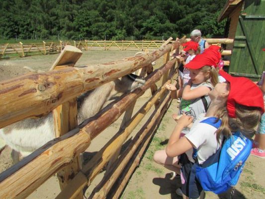 Grafika #87: 11.06.2021 Wycieczka do Farmy Alexa cz.II