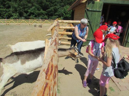 Grafika #88: 11.06.2021 Wycieczka do Farmy Alexa cz.II
