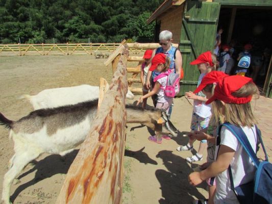 Grafika #89: 11.06.2021 Wycieczka do Farmy Alexa cz.II