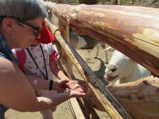 Grafika #90: 11.06.2021 Wycieczka do Farmy Alexa cz.II