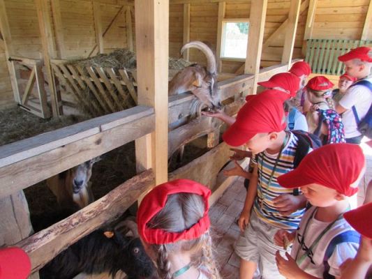 Grafika #91: 11.06.2021 Wycieczka do Farmy Alexa cz.II