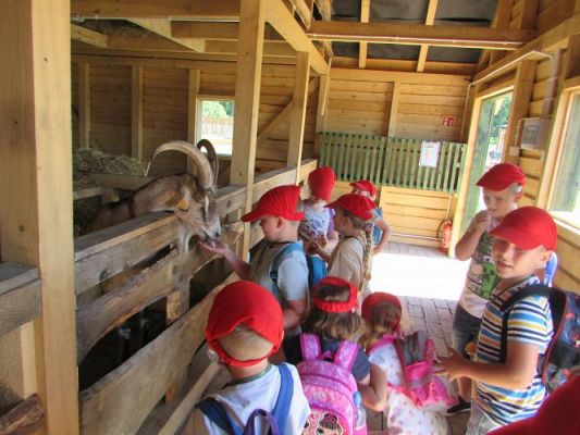 Grafika #92: 11.06.2021 Wycieczka do Farmy Alexa cz.II