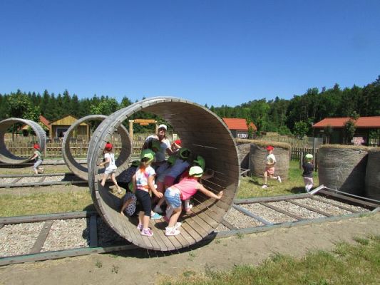 Grafika #95: 11.06.2021 Wycieczka do Farmy Alexa cz.II