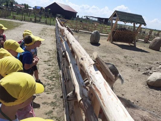 Grafika #2: 11.06.2021 Wycieczka do Farmy Alexa cz.II