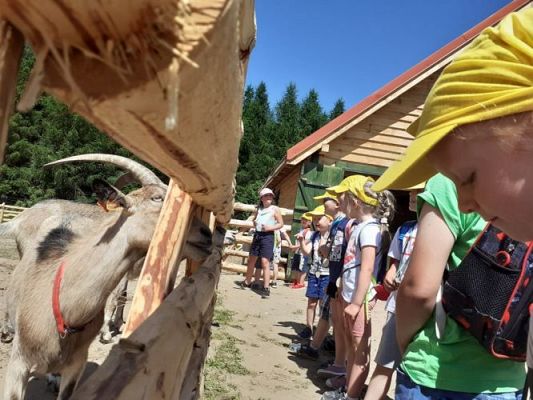 Grafika #4: 11.06.2021 Wycieczka do Farmy Alexa cz.II