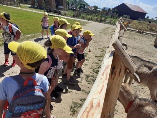 Grafika #7: 11.06.2021 Wycieczka do Farmy Alexa cz.II