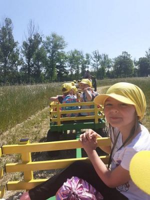 Grafika #25: 11.06.2021 Wycieczka do Farmy Alexa cz.II