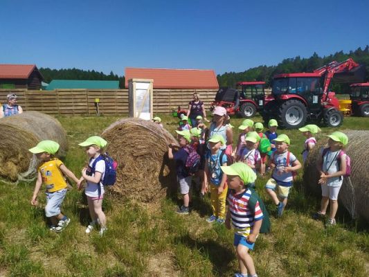 Grafika #30: 11.06.2021 Wycieczka do Farmy Alexa cz.II