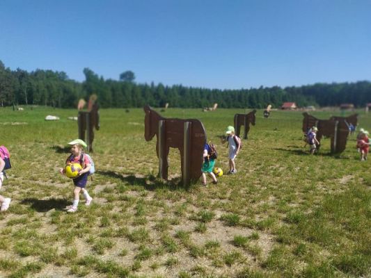 Grafika #31: 11.06.2021 Wycieczka do Farmy Alexa cz.II