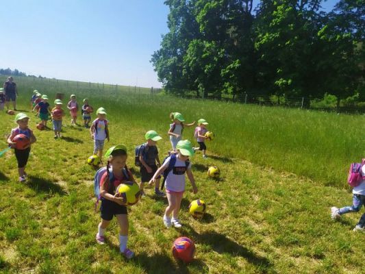 Grafika #33: 11.06.2021 Wycieczka do Farmy Alexa cz.II