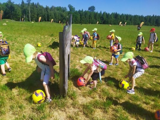 Grafika #39: 11.06.2021 Wycieczka do Farmy Alexa cz.II