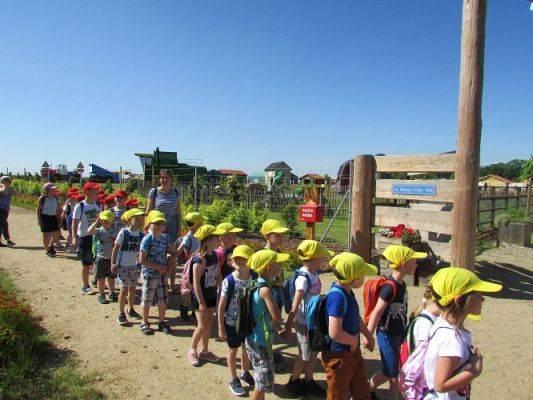 Grafika #7: 11.06.2021 Wycieczka do Farmy Alexa cz.I