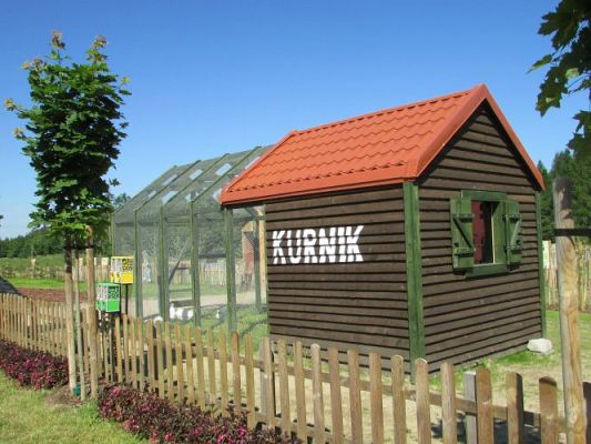 Grafika #13: 11.06.2021 Wycieczka do Farmy Alexa cz.I